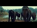 JUNGLEE TRAINING TO BE JUNGLEE Vidyut Jamwal
