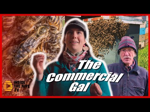 Bianca Braman - Mike Palmer Prodigy - Vermont Bees LLC