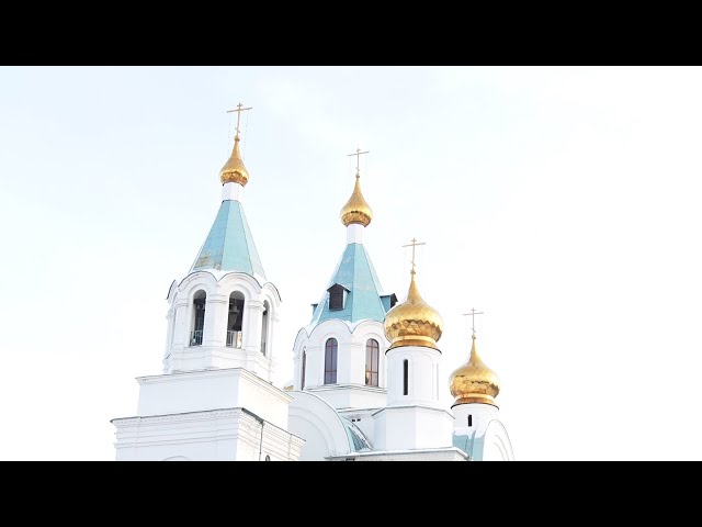 Дополнительные выходные