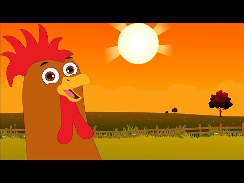 Το κοκοράκι | Παιδικά Τραγούδια | Koperti