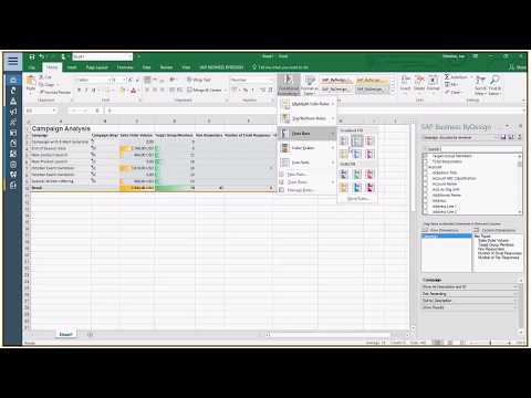 SAP Business ByDesign customer analytics demo with embedded Excel reporting