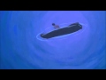 Pocahontas And Nakoma Jumping Scene HD
