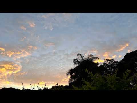 Billy Cobham's Culture Mix, Freiburg (2002)