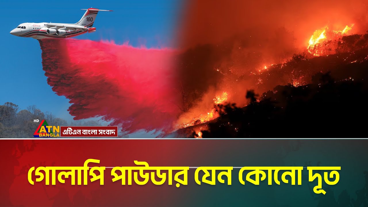 দাবানলে গোলাপি পাউডার কেনো ছিটানো হচ্ছে ? Phos Chek | Calfornia Wildfire | Los Angeles | USA