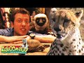 Fast And Slow Zoboomafoo WildBrain Movies For Kids