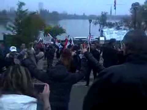 Miting pentru pace in Siria (3)