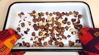 The Fastest Way to Roast and Skin Hazelnuts I quick and easy