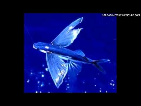 Sunloverz Feat. Jamie Sparks - I Wanna Fly (Radio Edit)