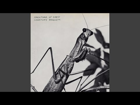 Site Unseen (feat. Waxahatchee)