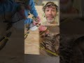 making CROWN of THORNS for GOOD FRIDAY and EASTER
