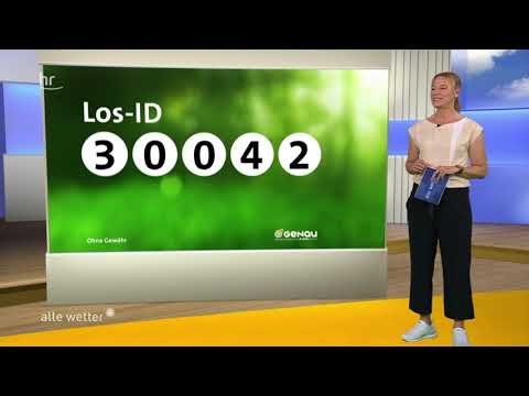 EXACT drawing of 11.08.2023