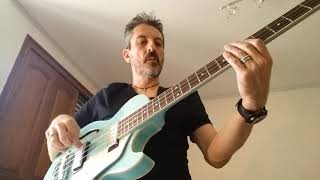 Video thumbnail for IBANEZ AGB 260 by Denis Burle