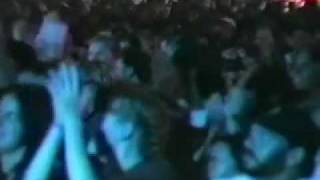 GLAD AND SORRY ~ I'LL FATED ~ GOLDEN SMOG~GREAT SOUND