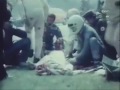 Niki Lauda Crash - Nurburgring 1976 (41 Years Ago)