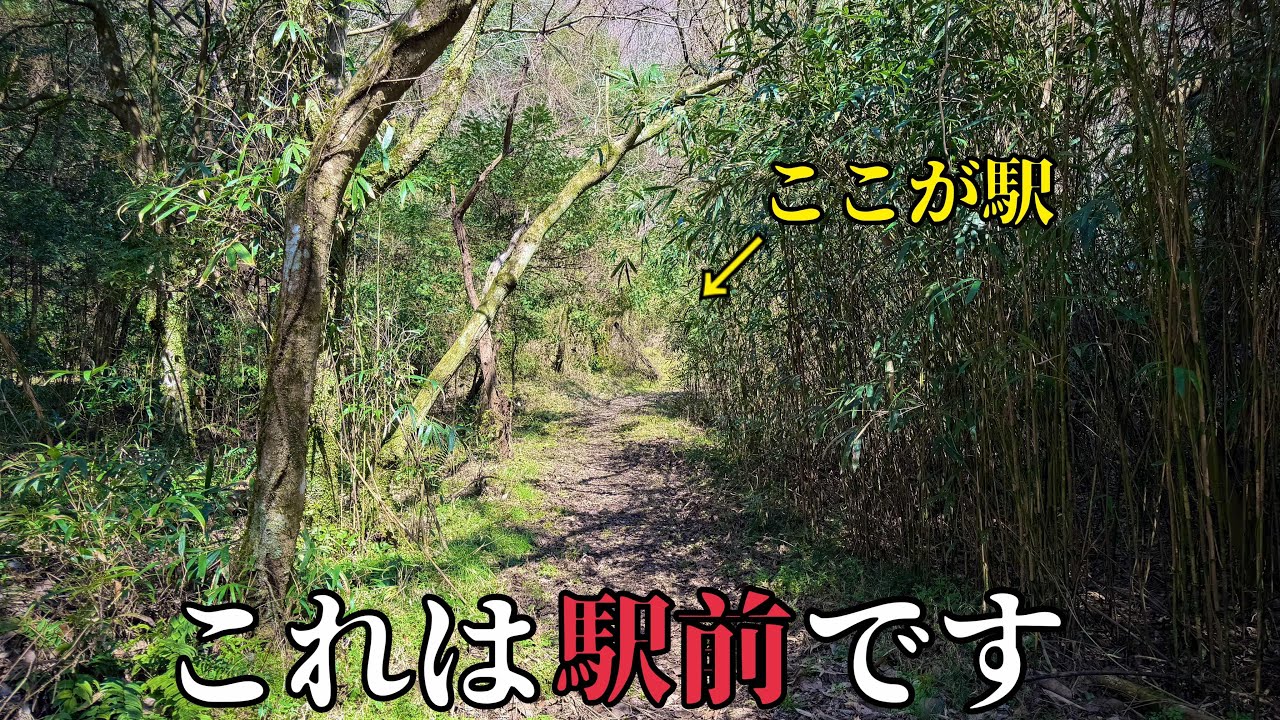 【ありえない】日本にこんな現役の駅が存在します