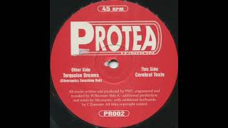 PMT  -  Turquoise Dreams (Silversonics Smashing Dub)