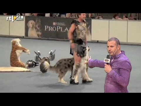 "Kijk, een teef!" - DE GROTE IMPROVISATIESHOW