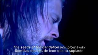 Thom Yorke   Ingenue Inglés Español