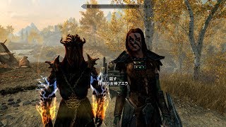 【スカイリム】アルドゥイン・・・待って居ろ！『生放送』『The Elder Scrolls V: Skyrim Special Edition』
