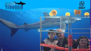 DIA 3 Expo Tiburon23