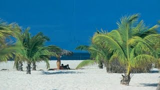 3 Really Cool Things To Do In Cuba: Off The Beaten Path
