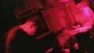 Hippopotamus - "Jump For Joy"