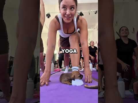 This is why the puppy kept falling asleep 🐶