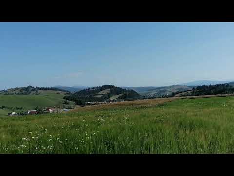 Barcani 16.07.2021.partea a 2-a