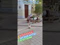 Уличные музыканты Евпатории #videos #shortvideo #see #relaxing #realestate #crimea #music