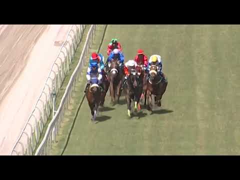 RM7 R3 | Barak Lavan | B.Reis