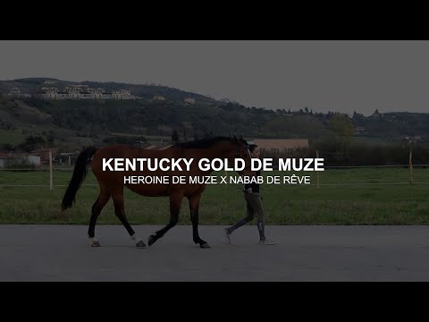 Presentation of Kentucky Gold de Muze