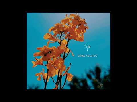 Xuraman Vəfa - Bu necə taledir? - Eltac Xələfli