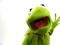 Muppetisms Floyd And Kermit