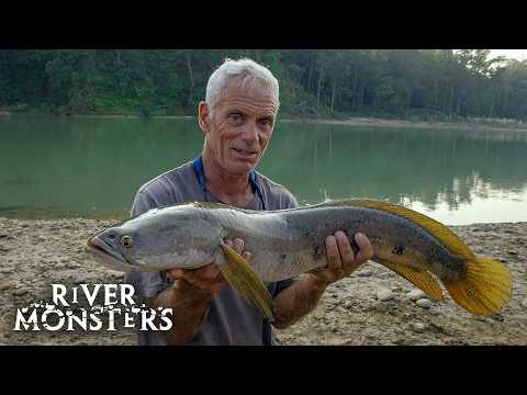 Best Moments and Catches in Asia | River Monsters
