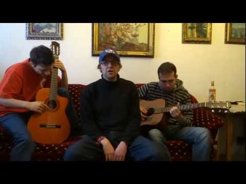 Fall Out Boy The Phoenix - Better Than Grey Acoustic Cover Version video thumbnail