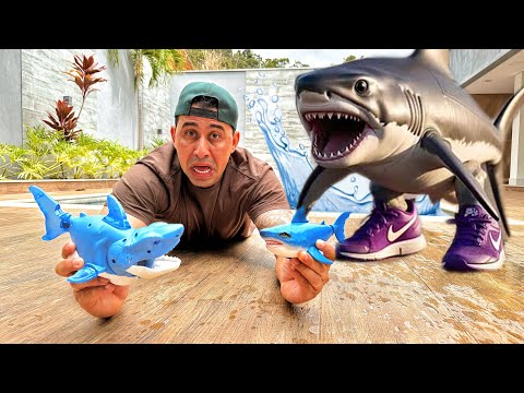 Water Shark vs. Land Shark