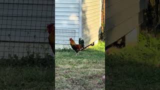 He is STALKING us and he won’t leave | How do I get rid of unwanted guest