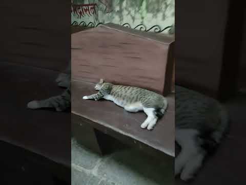 Arushi singh my world  is live! Night view #antop hill 🥰🤗