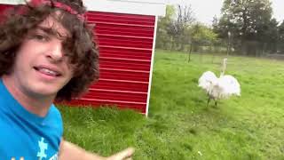 Download lagu Kevin Attacked With a Running Start mp3