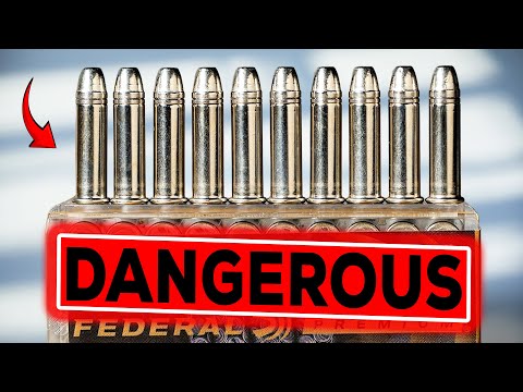 Why .22 LR Is the MOST DANGEROUS Round in America — Are You Ignoring Its Deadly Secret?