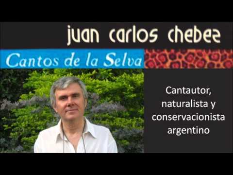 Saracura video