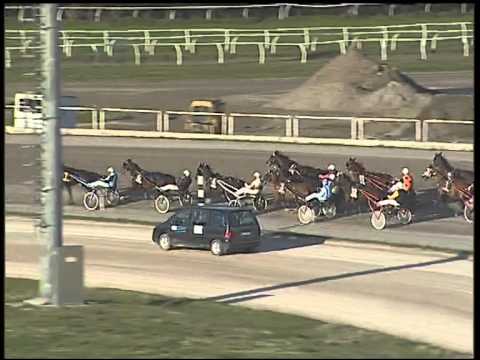 Trotto 26/02/2015 - 3° corsa