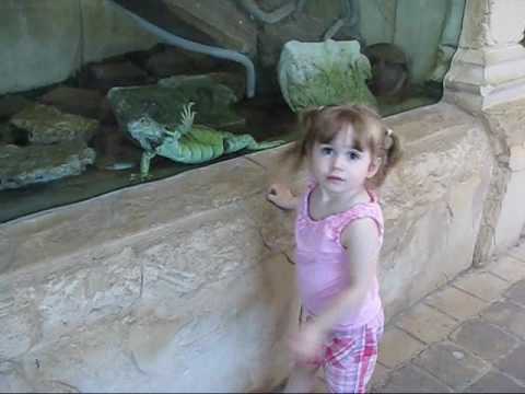 Katie's 1st Visit to Atlantis Marine World in Riverhead, NY