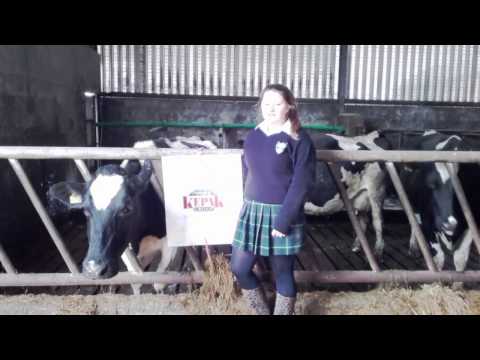 download lagu mp3 mp4 Certified Irish Angus Beef, download lagu Certified Irish Angus Beef gratis, unduh video klip Certified Irish Angus Beef