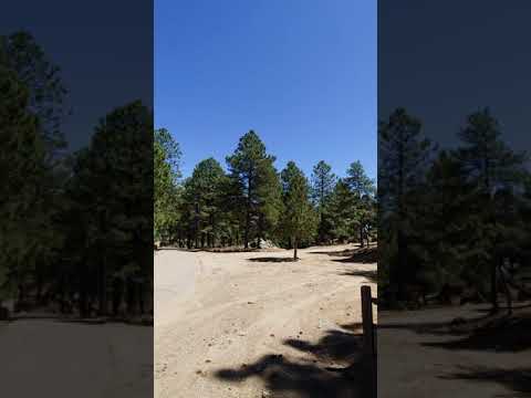 Photo Of Hualapai Mountain Park By Chris G