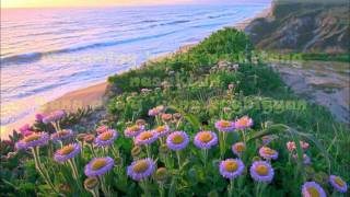 Mahal Pa Rin with lyrics by Sam Milby