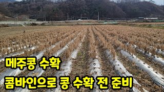 메주콩 수확전 즉 콤바인으로 수확전 준비 방법