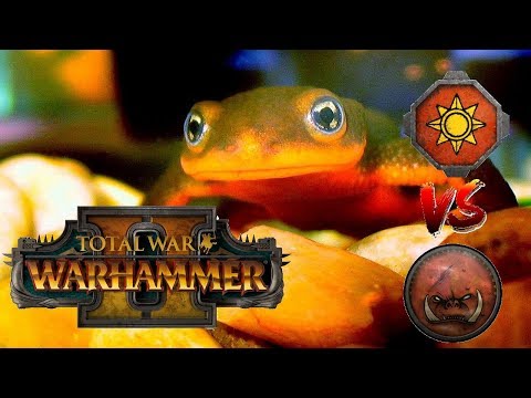 Lizardmen vs Greenskins | THE PACK HUNTS - Total War Warhammer 2
