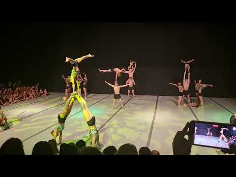 2022 Spelthorne Gymnastics Christmas Display - Jungle 직캠