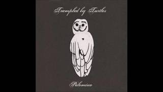 Trampled By Turtles-Feet and Bones